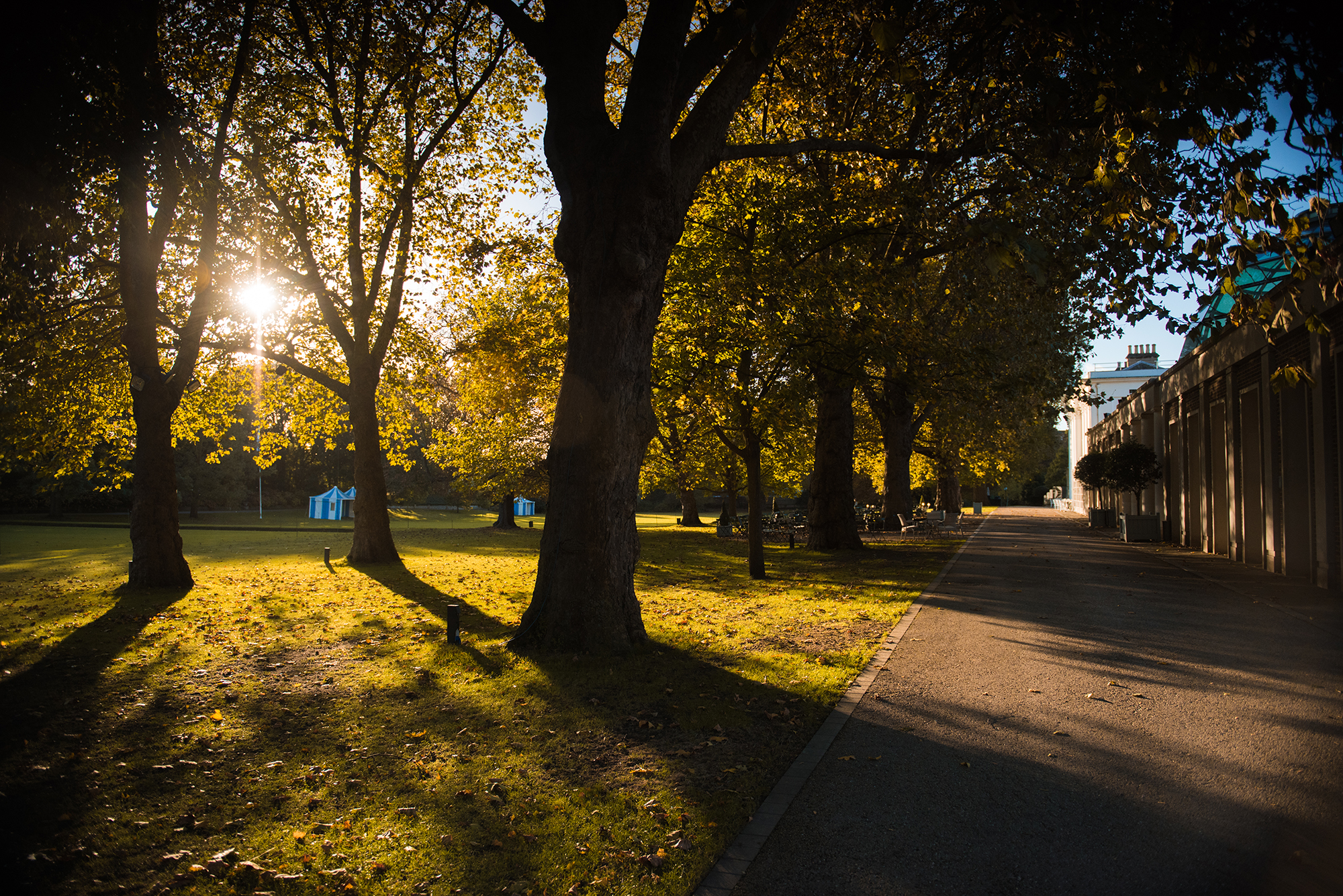 Autumn Shoot 2016 DSC0936 72Pip 2000Px EXTENSION