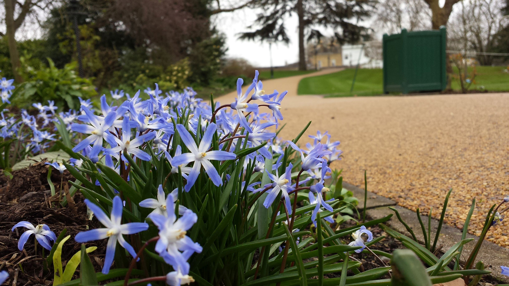 20150331 082714 72Pip 2000Px EXTENSION