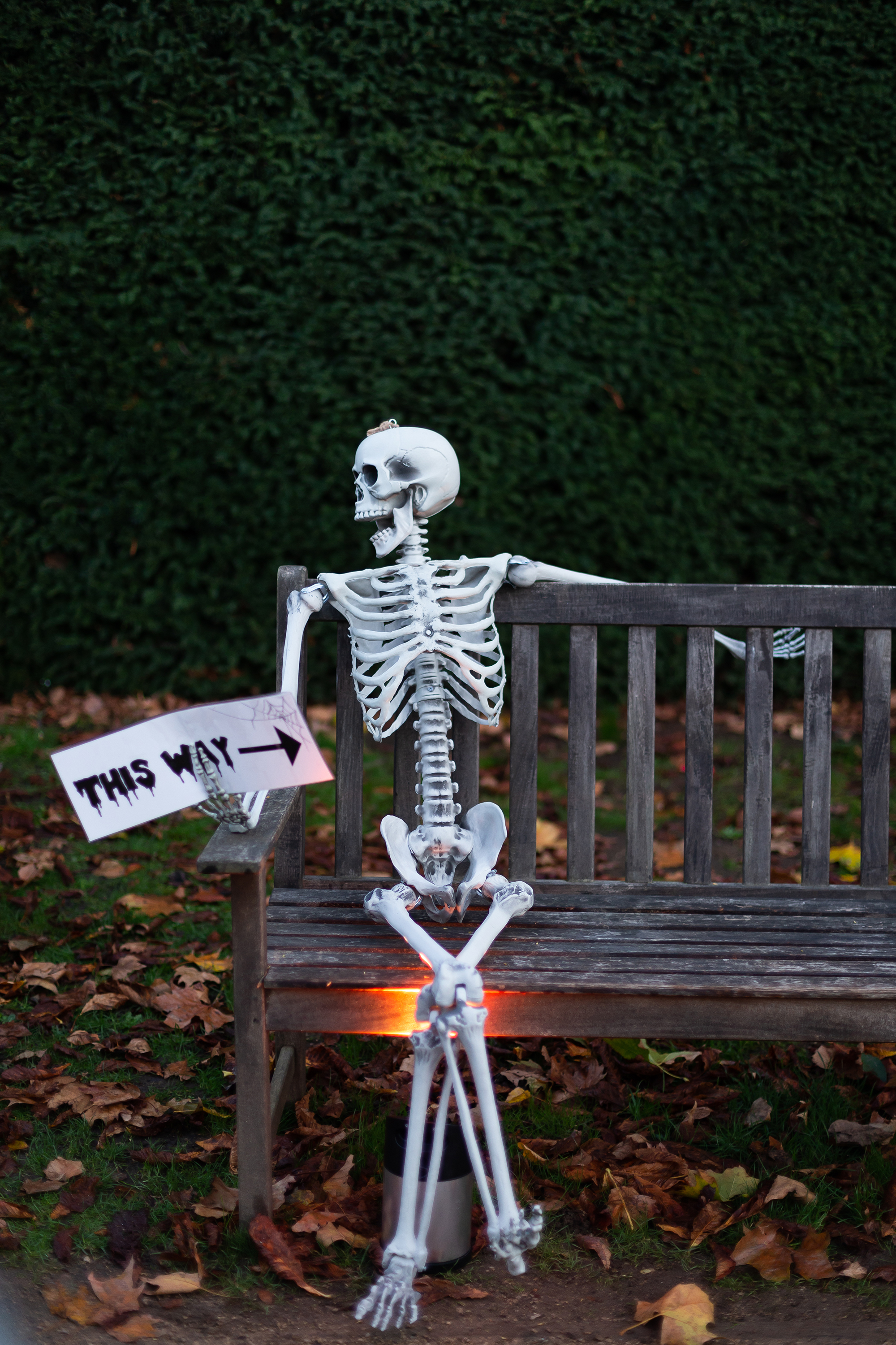 201031 Halloween Tuckerimages 022 72Pip 2000Px EXTENSION