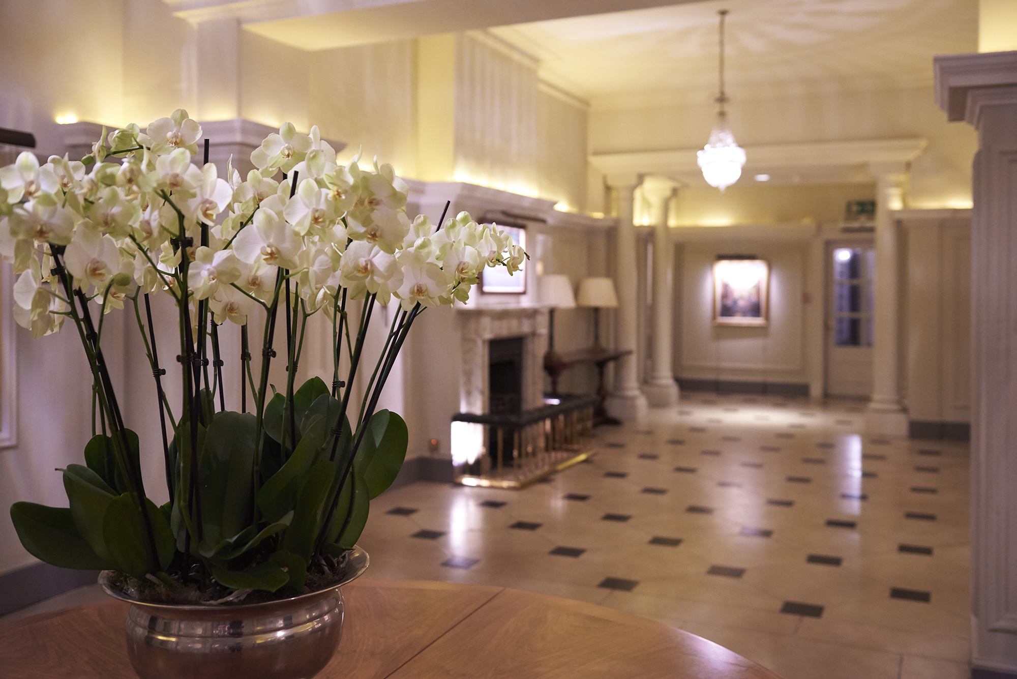 190425 Young Hurlingham Anniversary Ball EN 0277 72PIP 2000PX EXTENSION