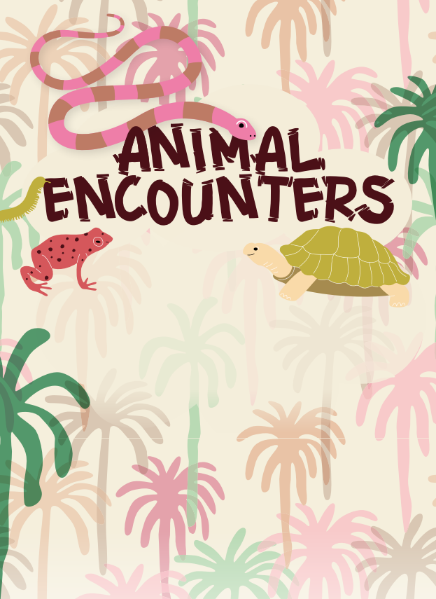 Screenshot 2026 02 10 124804