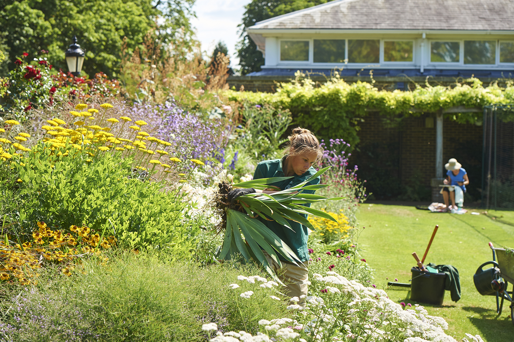 Garden Shoot 2015 DSC2477 72Pip 2000Px EXTENSION