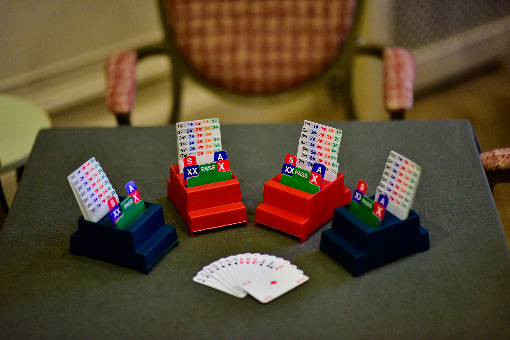 Bridge 2016 DSC1201 72Pip 2000Px EXTENSION