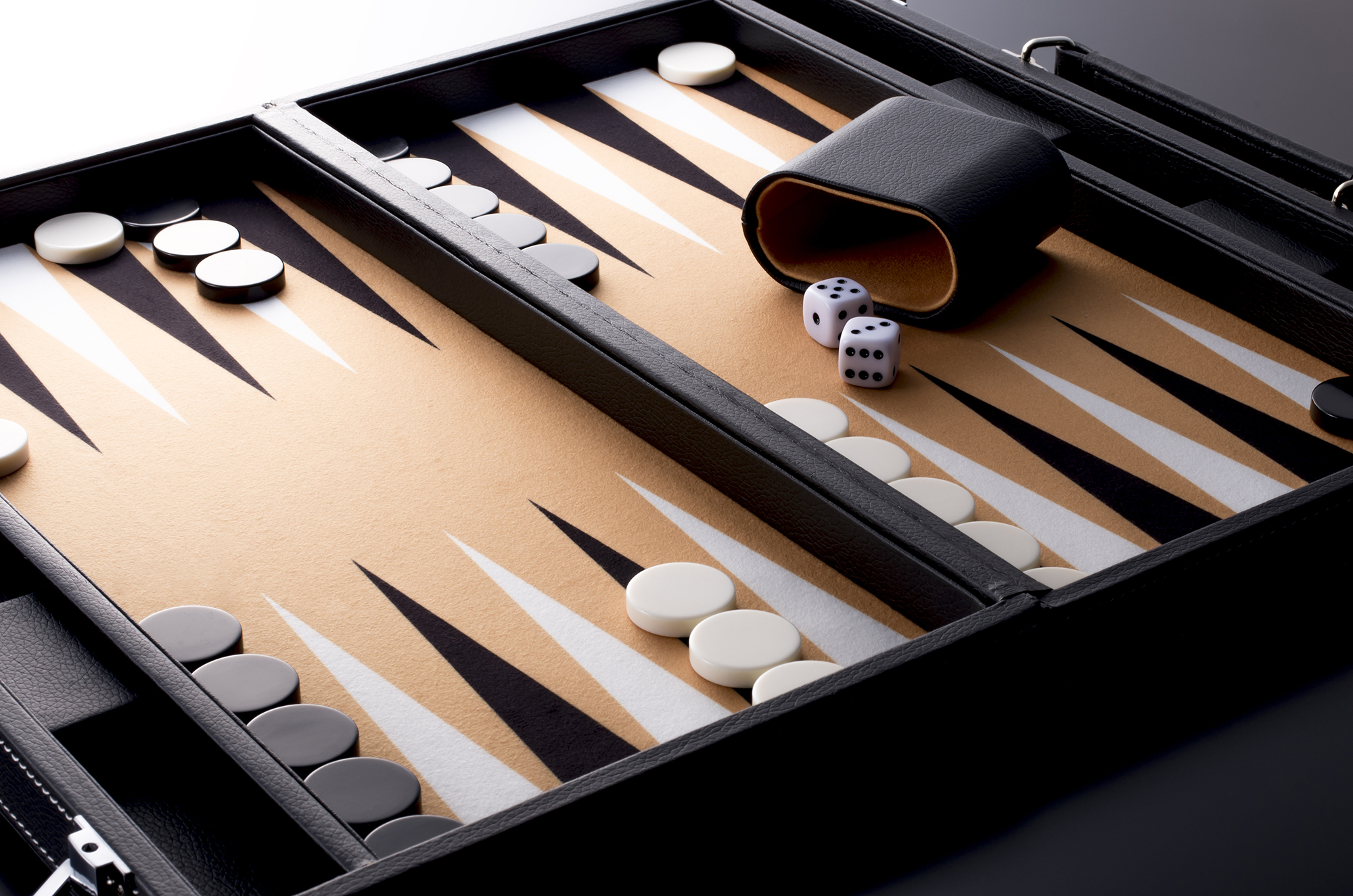 Shutterstock 365384639 72PIP 2000PX