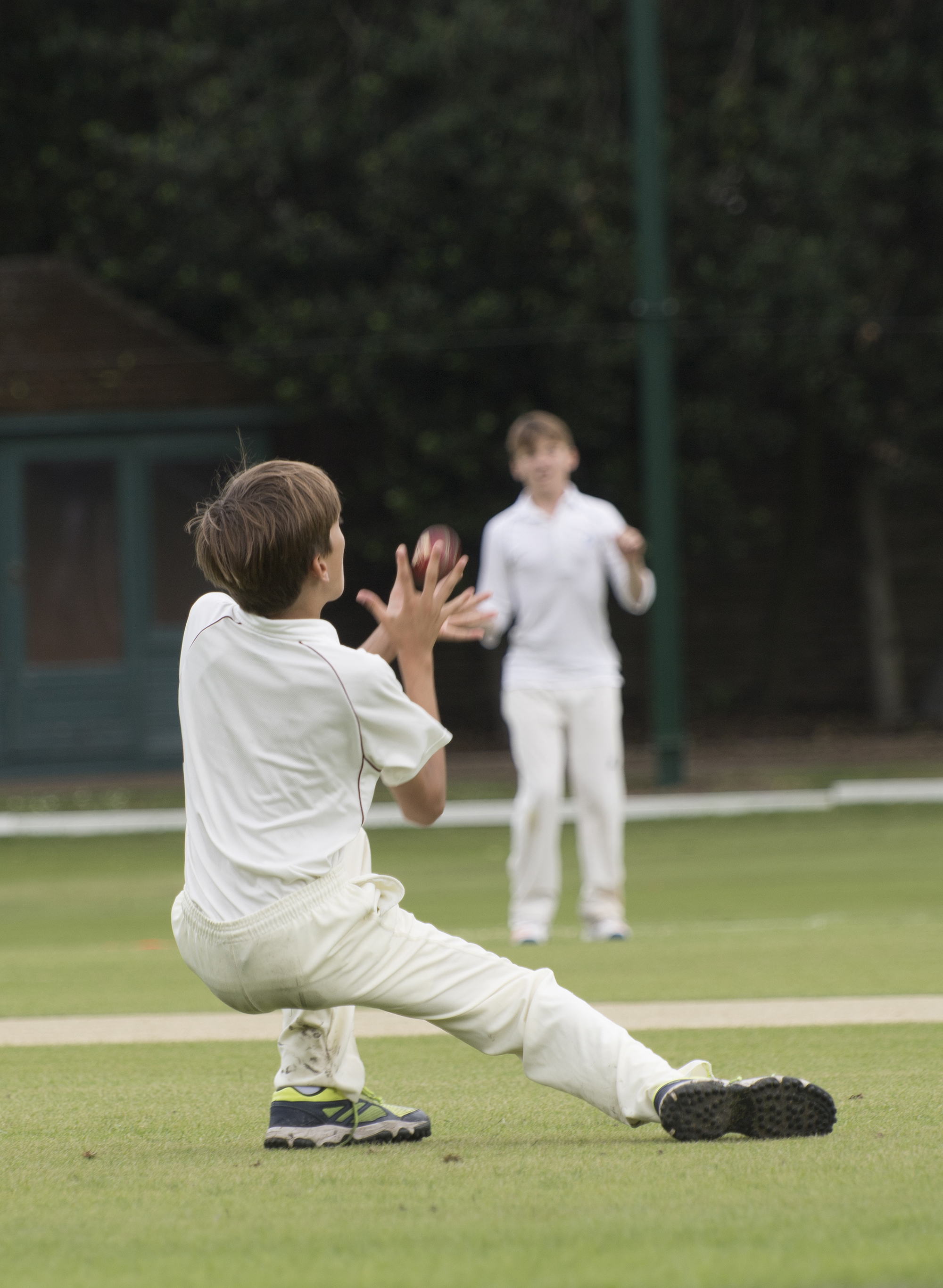 0062 72Pip 2000Px EXTENSION