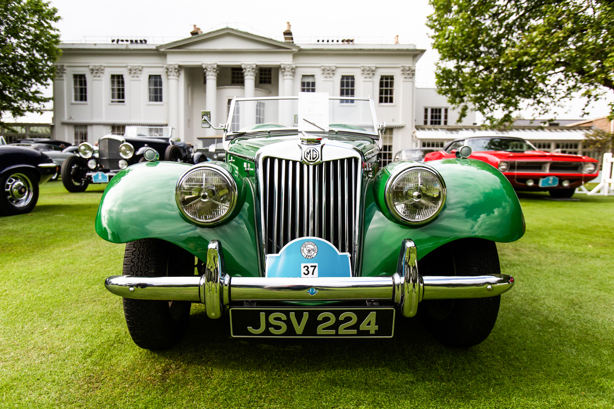 13Jun2015 003 72Pip 2000Px EXTENSION