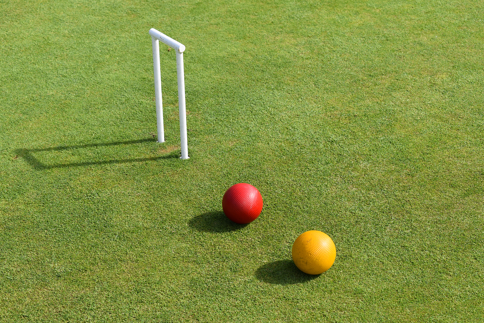 DSC 4565 72Pip 2000Px EXTENSION